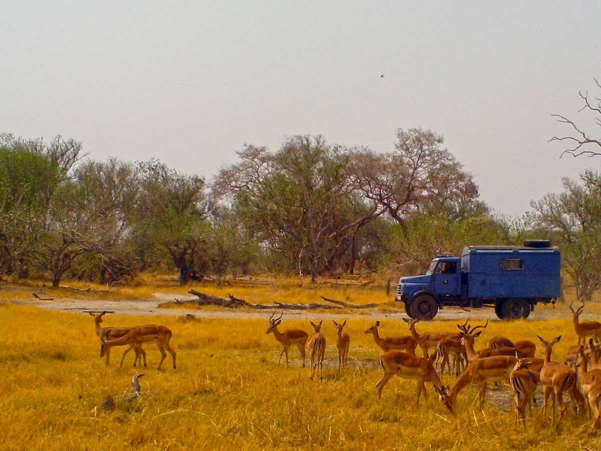 Moremi Game Reserve, Botswana