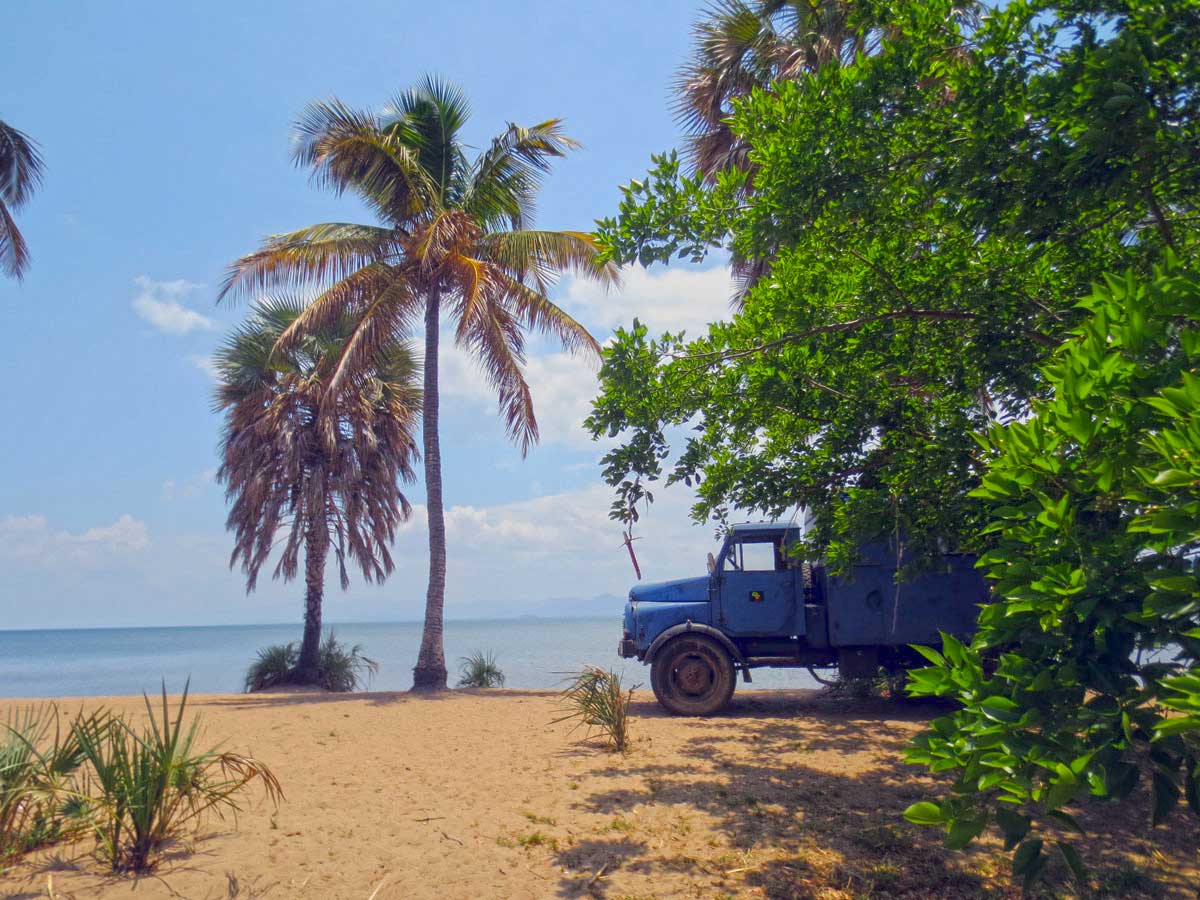 Unter Palmen am Malawisee