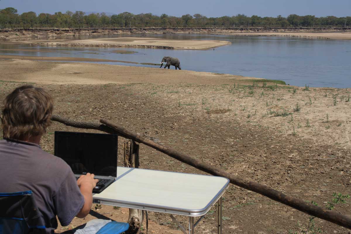 Arbeiten als digitaler Nomade mit Blick in den South Luangwa Nationalpark in Sambia