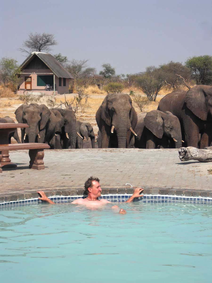 Swimming Pool, Elephant Sands, Botswana