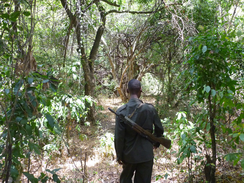 Walking Safari im mago Nationalpark in Äthiopien